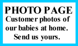 Photo Page Button